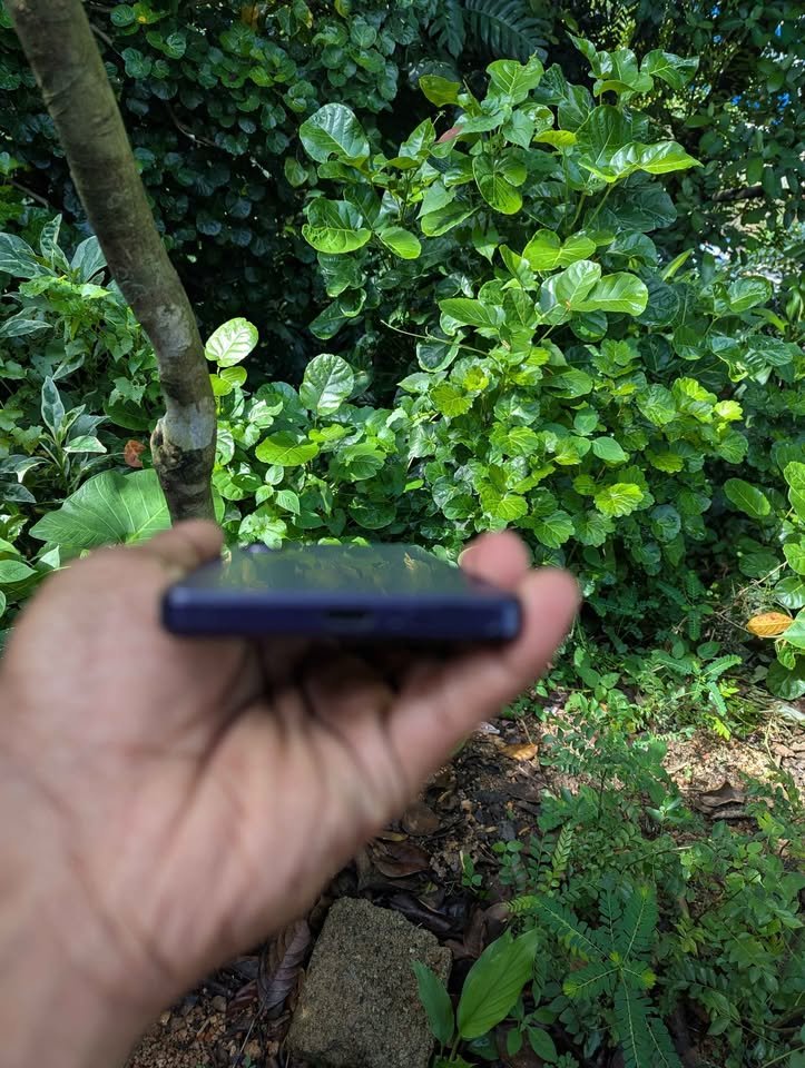 thumb