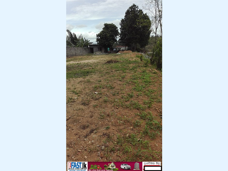 LAND | FOR SALE | GAMPAHA