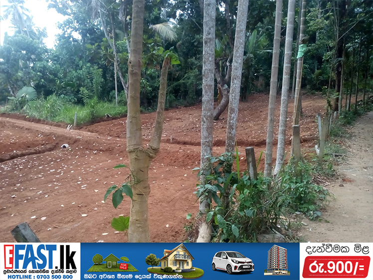 LAND | SALE | RAMBUKKANA